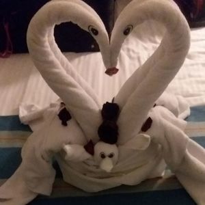 Meet your Posher, Patricia